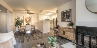 THE ARLO Gallery 6