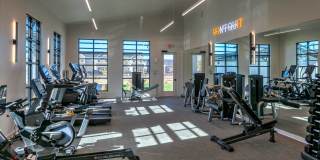 Cadia Sherman Gallery 34