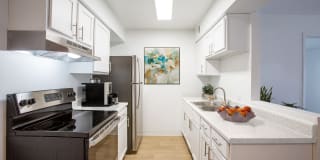 Blue Agave Villas Gallery 1