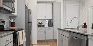 Reserve at Ventana Lakes Gallery 50