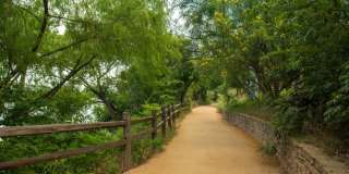 Lamar Union Gallery 73