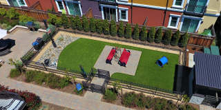 Ramblewood Apartments Gallery 10