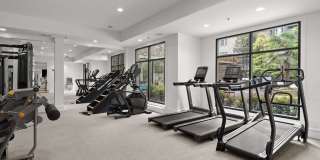 Cortland Oleander Gallery 28