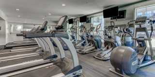 The Saulet Gallery 28