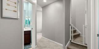9821 English Elm Street Gallery 33