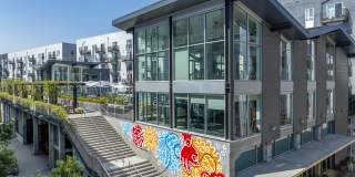 Aliso Gallery 8
