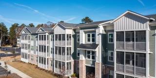 Waterleaf at Salt Creek Gallery 41