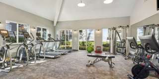 Sofi Sunnyvale Gallery 1