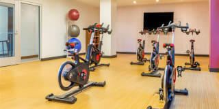 Potomac Towers Gallery 32