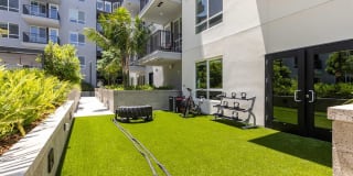 Ruby at the Society Gallery 16