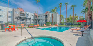 THE MODERN CACTUS THE MODERN CACTUS Gallery 1