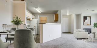 Pines at Castle Rock Gallery 2