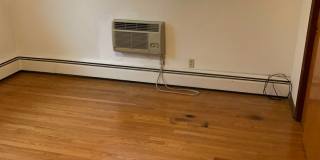 Nandale - Yellow Gallery 15