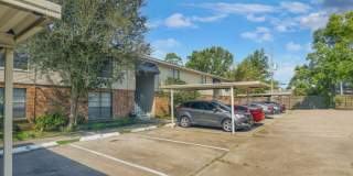 Dove Creek Gallery 12