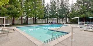 3 bedroom 2 bath Townhome - Greenmeadow Neighborhood Palo Alto!  $6800 Gallery 33