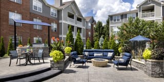 Lake Clearwater Gallery 13