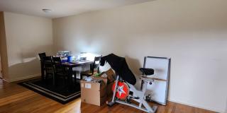 Graduate and Professional Gallery 135