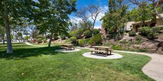 Vanoni Ranch Gallery 17