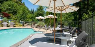 Lakemont Orchard Gallery 20