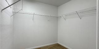 3188 MIST EFFECT Avenue Gallery 15