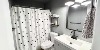 8255 Silver Glen Drive 8255 Silver Glen Drive Gallery 13