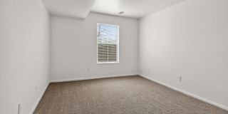 ReNew Woodland North and South Gallery 22