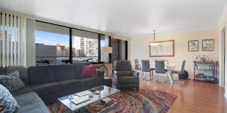 1555 N Sandburg Terrace Gallery 2