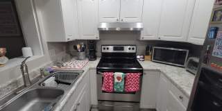 2107 High Road Gallery 9