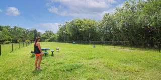 Springs at Palma Sola Gallery 36