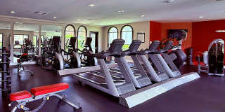 TGM Bermuda Island Gallery 16