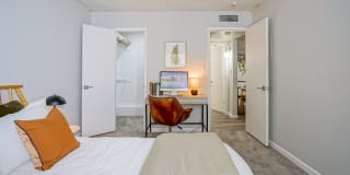 Treehouse Apartments Gallery 15