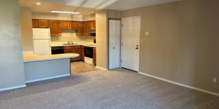 1238 Firefly Circle Gallery 12