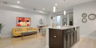Modern 1BR/1BA with Private Terrace in the heart of Adams Morgan Gallery 6