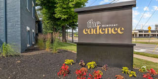 The Cadence Gallery 22