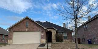 510 Indian Paintbrush Gallery 1