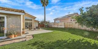 11031 Sierra Tree Gallery 20
