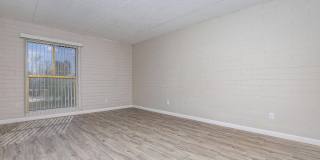Bellevue Towers Gallery 113