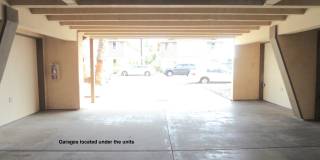 Holly Gallery 12