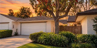 17284 Citron Gallery 1