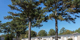 Newport Landing Apartments Newport Landing Apartments Gallery 1