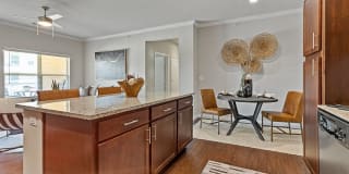 Longhorn Crossing Gallery 33