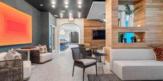 Tortoise One Gallery 26