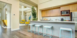Sofi Sunnyvale Gallery 5