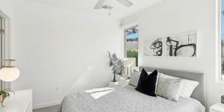 The Aviary Gallery 20