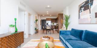 Soleste Spring Gardens Gallery 17