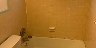 Nandale - Yellow Gallery 14