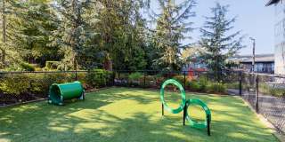 The Bond Apartments Gallery 22