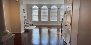 4619 FOREST PINES Drive Gallery 11