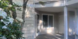 9210 Market Place Gallery 1