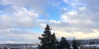 Spacious 1 Bed/1 Bath Condo in Wallingford/Fremont Gallery 17
